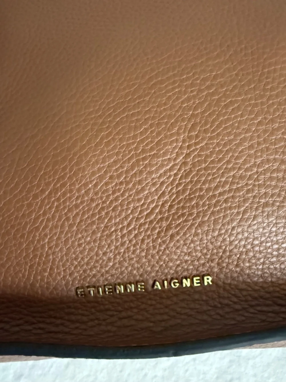 NWT Etienne Aigner Alexandra Large Leather Hobo Bag in Brown